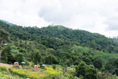 doğal dağ manzarası ile orman çadırda