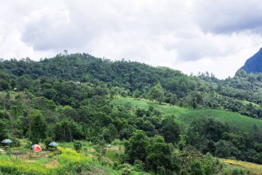 doğal dağ manzarası ile orman çadırda