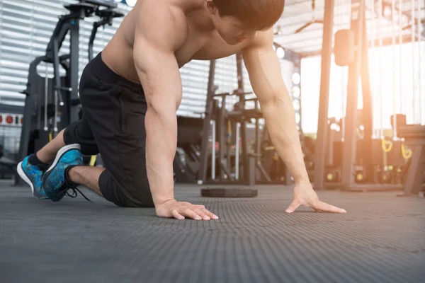 adale adam hazırlamak itmek ups spor salonunda. vücut geliştirmeci erkek çalışırdı