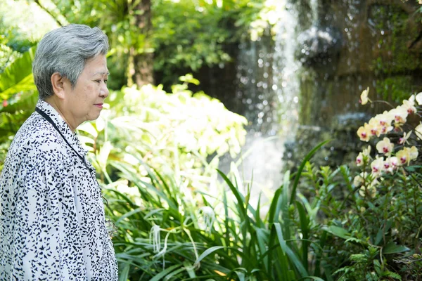 在花园里休息的老妇人。公园里的老年女性放松. — 图库照片