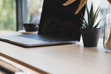bilgisayar, bitki pot, ahşap masa kahve fincanı. office w laptop