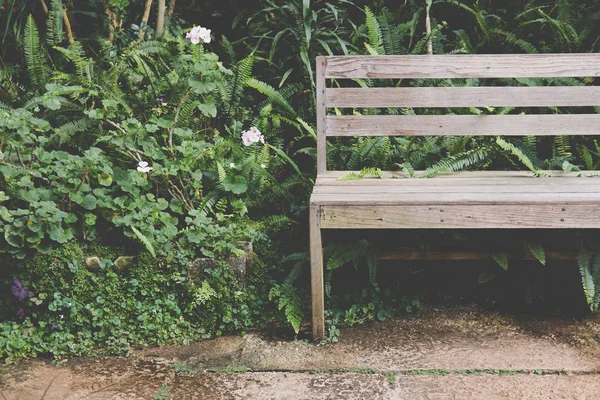 Wood bench in park — Stock Photo, Image