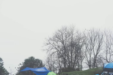 turist çadırda sis ve sis. Ormanda kamp. seyahat, tatil 