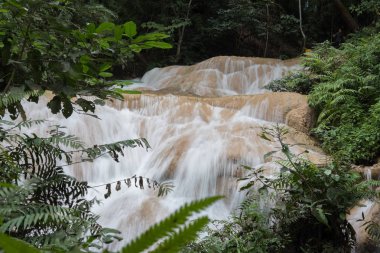 şelale yağmur ormanlarında. ormanda çağlayan. Tro içinde akan su