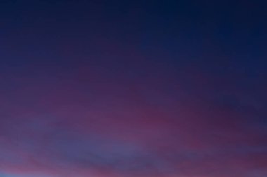 Şafakta dramatik gökyüzü ile ağaç siluet. doğa manzara