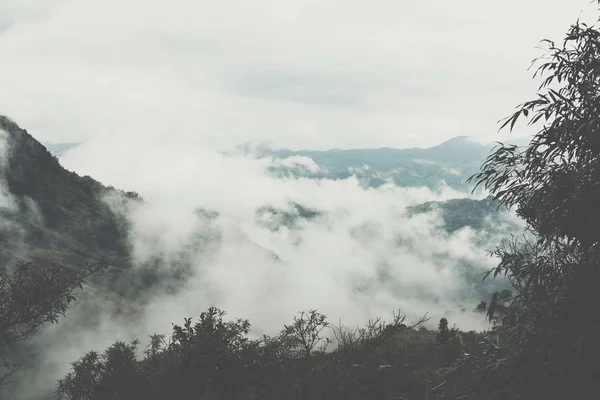 雾和云在山上的早晨。山上的薄雾 — 图库照片
