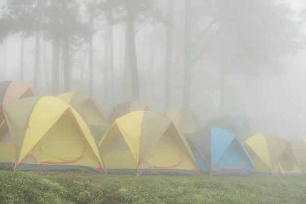 Туристическая палатка в тумане и тумане. кемпинг в лесу. путешествия, отпуск — стоковое фото