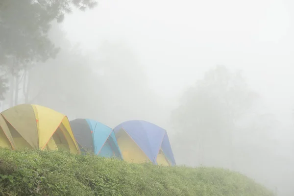 Τουριστική σκηνή στην ομίχλη & ομίχλης. κατασκήνωση στο δάσος. Ταξίδια, διακοπές — Φωτογραφία Αρχείου