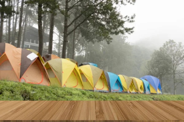 雾雾中的旅游帐篷。在森林里露营。旅游、度假 — 图库照片