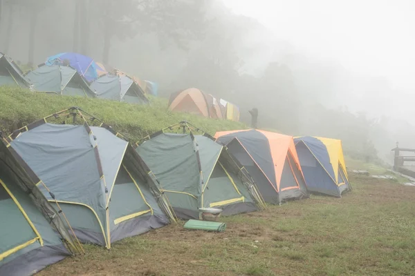 Tienda de campaña turística en la niebla & niebla. camping en el bosque. viajes, vacaciones —  Fotos de Stock