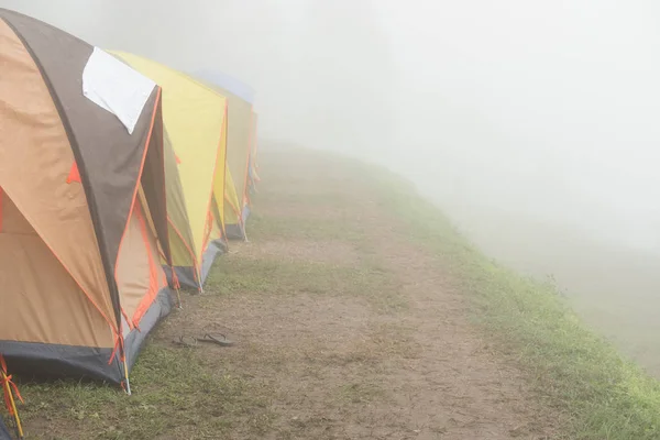 Туристическая палатка в тумане и тумане. кемпинг в лесу. путешествия, отпуск — стоковое фото