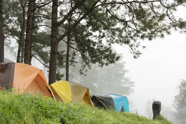 Touristenzelt im Nebel. Zelten im Wald. Reisen, Urlaub — Stockfoto