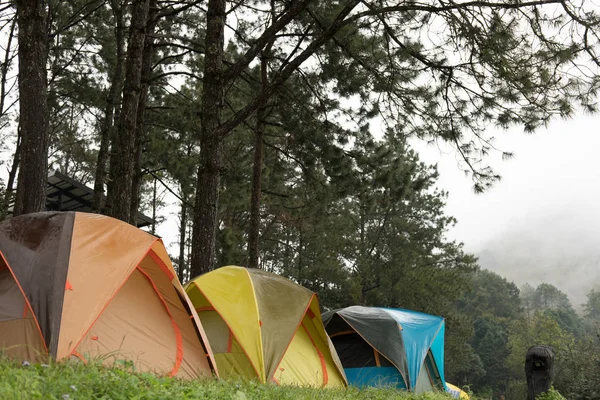 Tente touristique dans la brume et le brouillard. camper en forêt. voyage, vacances — Photo