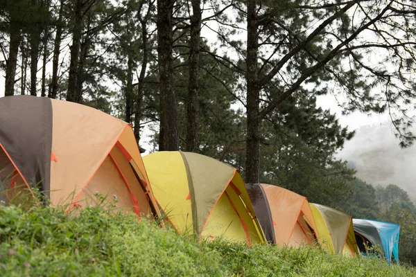 Turist-tält i dimma & dimma. Camping i skogen. Resor, semester — Stockfoto
