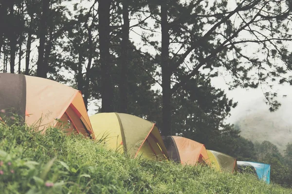Tienda de campaña turística en la niebla & niebla. camping en el bosque. viajes, vacaciones — Foto de Stock