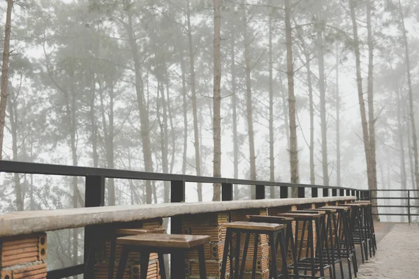 Sgabello sulla terrazza in caffè nella foresta. sedia sul balcone vicino pineta t — Foto Stock