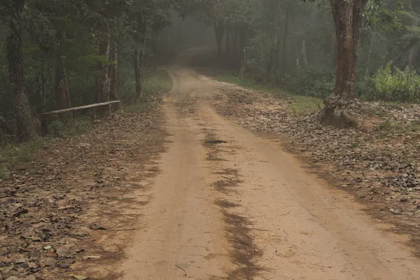 Camino en rural en niebla y niebla. paisaje de la naturaleza en la víspera fría otoño —  Fotos de Stock