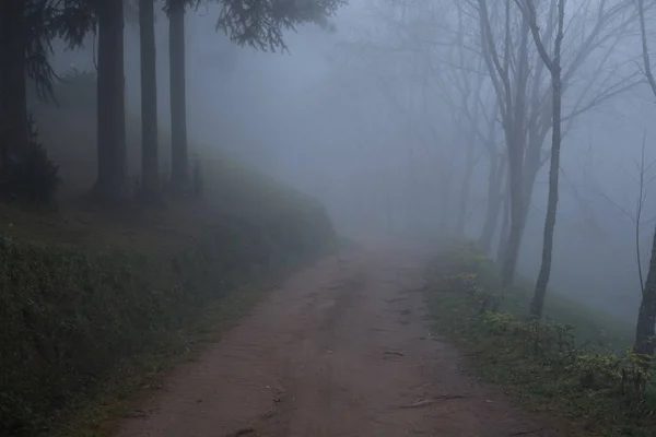 Strada in rurale nella nebbia e nebbia. paesaggio naturale alla fredda vigilia dell'autunno — Foto Stock