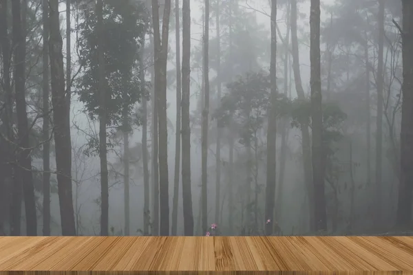 Pino con nebbia. nebbia nella foresta al tramonto. paesaggio naturale in — Foto Stock