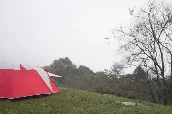 Tienda de campaña turística en la niebla & niebla. camping en el bosque. viajes, vacaciones —  Fotos de Stock