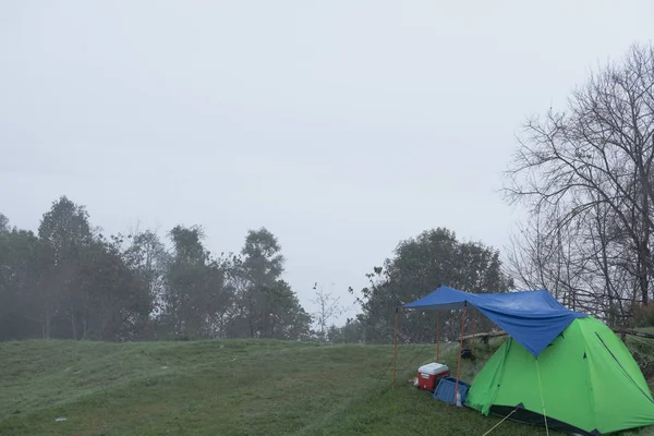 Tienda de campaña turística en la niebla & niebla. camping en el bosque. viajes, vacaciones —  Fotos de Stock