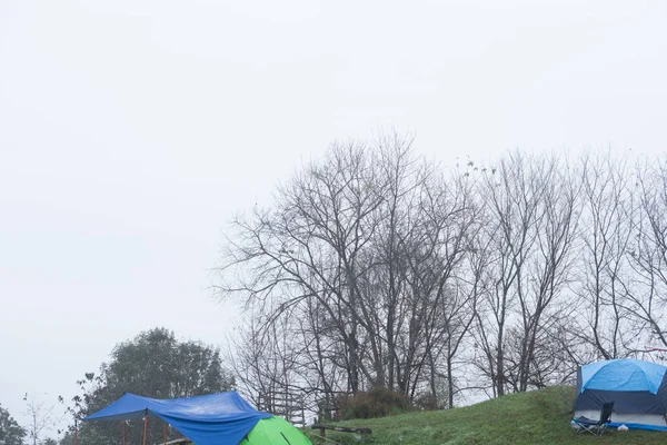 Touristenzelt im Nebel. Zelten im Wald. Reisen, Urlaub — Stockfoto