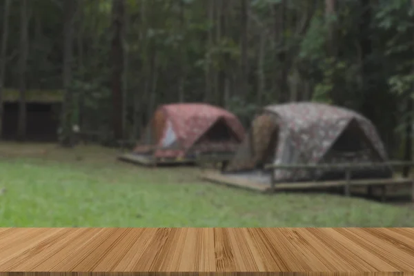 Tente touristique sur la pelouse. camper en forêt. voyage, vacances c — Photo