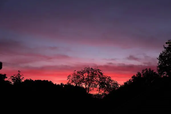 Silhouettenbaum mit dramatischem Himmel in der Morgendämmerung. Naturlandschaft — Stockfoto