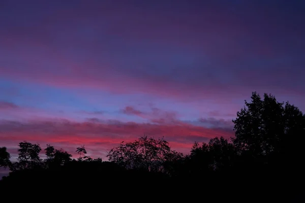 Silhouettenbaum mit dramatischem Himmel in der Morgendämmerung. Naturlandschaft — Stockfoto