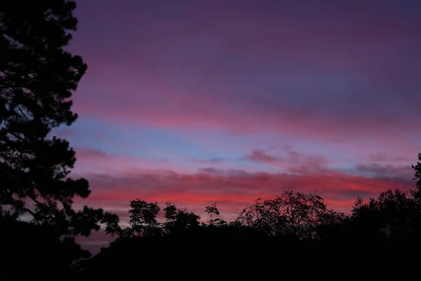 Silhouettenbaum mit dramatischem Himmel in der Morgendämmerung. Naturlandschaft — Stockfoto