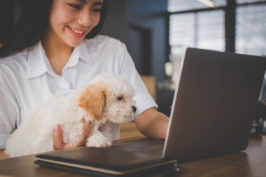 kadın holding sevimli köpek kafe Restoran. kadın genç s