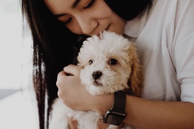 kadın holding çok güzel dogt. kadın genç ile evde beslenen hayvan vasıl ev. p