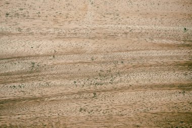 kahverengi ahşap plakalar doku doğal desenli, soyut backgro