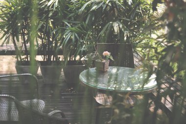 Evin terasında yuvarlak ahşap masa. pat hasır rattan sandalye