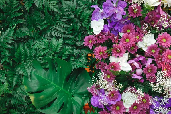 Fialové květy zelené listy zdobení na stěně — Stock fotografie