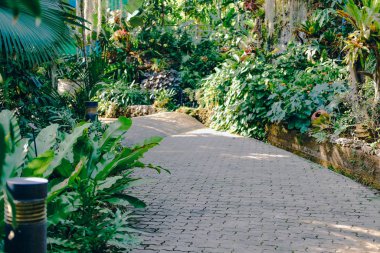 geçit Bahçe park