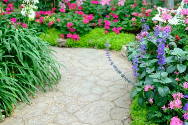 Çiçek bahçesinde yürüyüş yolu