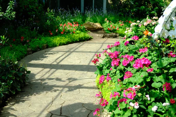 Walkway in garden park — Stock Photo, Image