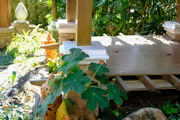 Pavillon gazebo dans un parc de jardin tranquille — Photo