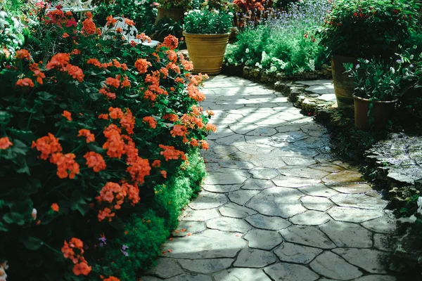 Walkway in garden park — Stock Photo, Image