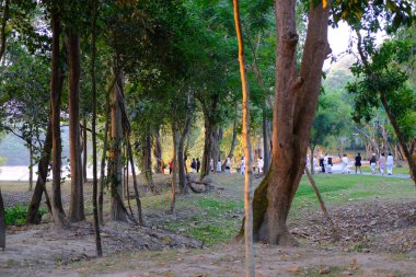 Budist keşiş ve insanlar farkındalık meditasyonu için yürüyorlar. 