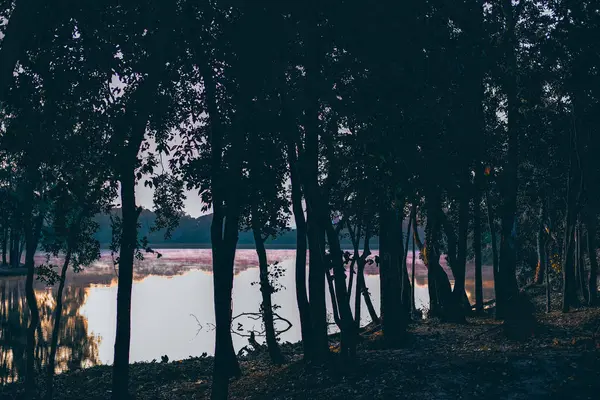 Albero & nebbia mattutina sul lago stagno con vista sulle montagne . — Foto Stock