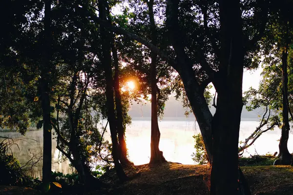 Luz del sol de la mañana y niebla en el lago estanque con vista a la montaña . —  Fotos de Stock