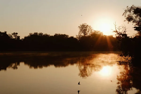 Morgensonne & Nebel am Seeteich mit Bergblick. — Stockfoto