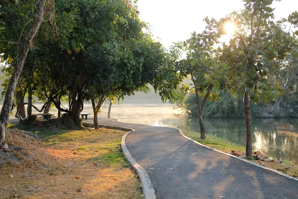 Chodnik w parku wtih rano światło słoneczne & mgła na jeziorze staw — Zdjęcie stockowe