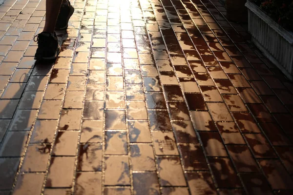 People walking with morning sunlight on brick path walkway footp — Stock Photo, Image