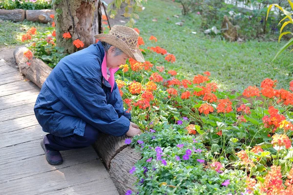 Stara Starsza kobieta odpoczywa w ogrodzie. Starsza kobieta relaksujący prześcignąć — Zdjęcie stockowe