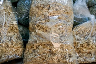 Kurumuş kenevir kökü ve yapraklarıyla cbd & thc. Marihuana bitkisi.