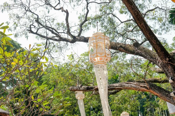 Traditional paper lantern hanging on tree. — Stok fotoğraf