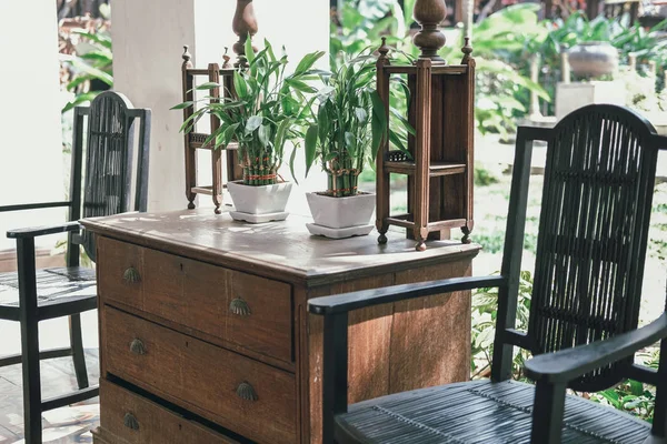 Plant pot on wooden cabinet. chair in living room terrace. home — 图库照片